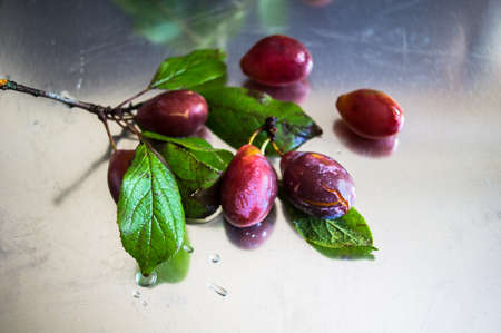 Fresh organic plums with leaves on old rustic wooden tableの写真素材