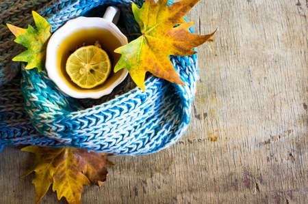 Vintage cup of tea with lemon and bright yellow leavesの写真素材
