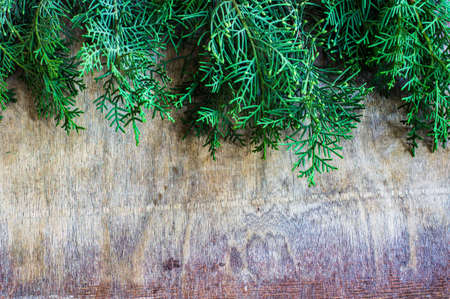 Festive winter Christmas wooden vintage background with green fir tree and copyspaceの写真素材