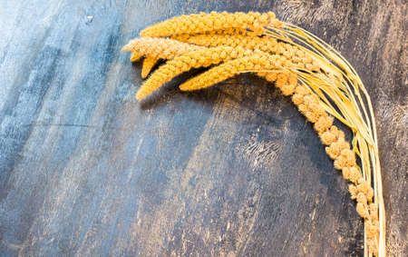 Raw organic spica on dark wooden tableの写真素材