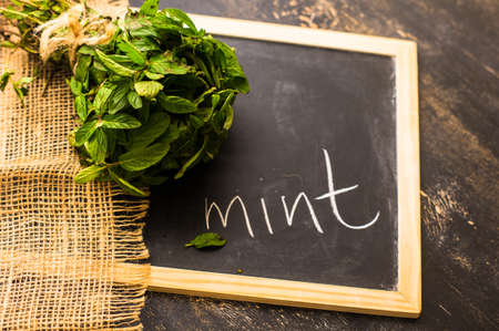 Fresh mint herb on dark wooden chalkboardの写真素材