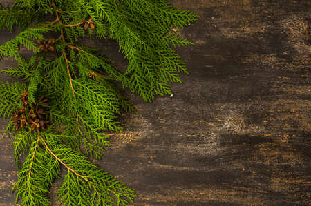 Festive winter Christmas wooden vintage background with green fir tree and copyspace