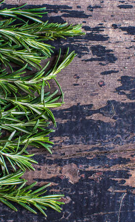 Fresh rosemary spice on dark wooden board with copyspaceの写真素材