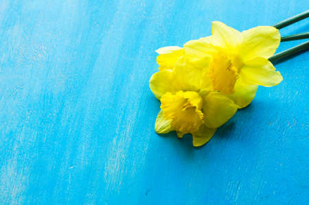 Festive easter frame with yellow daffodils and easter eggs on bright blue wooden backgroundの写真素材