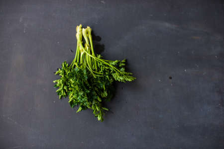 Fresh parsey herb on dark background with copyspaceの写真素材