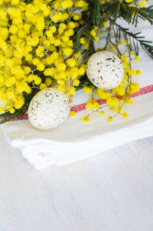 Spring frame with fresh mimosa flowers on wooden backgroundの写真素材