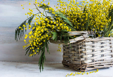 Easter festive frame with bright yellow mimosa (acacia) flowers and easter eggs a on wooden backgroundの写真素材