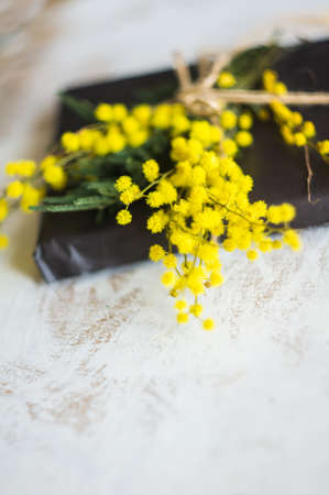 Spring frame with fresh mimosa flowers on wooden backgroundの写真素材
