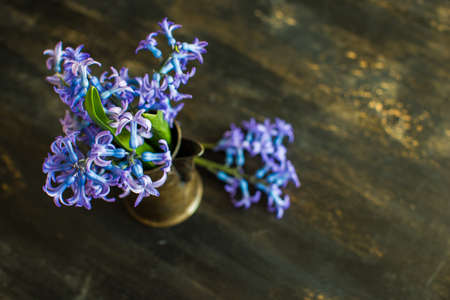 Bouquet of bright blue hyacinth flowers in a vase on dark wooden table as a spring conceptの写真素材