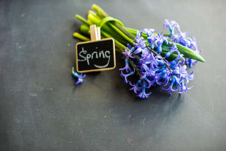 Bouquet of bright blue hyacinth flowers on chalkboard as a spring conceptの写真素材
