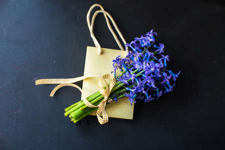 Bright blue wild hyacinth flowers on dark wooden background as a spring time concept