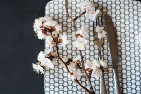 Spring table setting with bright plates and peach blooming on a wooden tableの写真素材