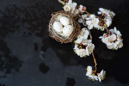 Spring table setting for Easter dinner with bright plates and peach blooming on a wooden tableの写真素材