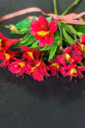 Red lily flowers with red ribbon on dark wooden tableの写真素材