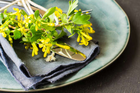 Spring table setting with blooming tree branch with  yellow flowersの写真素材