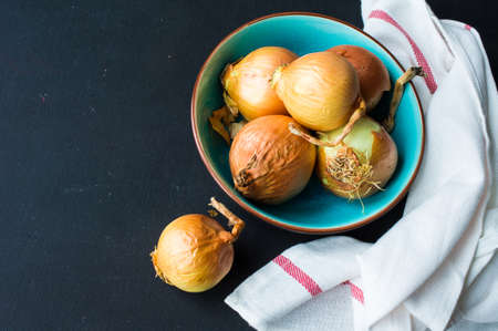 Fresh organic onion on rustic dark wooden table with napkinの写真素材