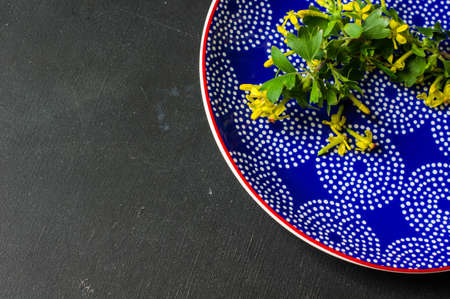 Spring table setting with blooming tree branch with  yellow flowersの写真素材