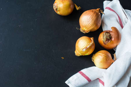 Fresh organic onion on rustic dark wooden table with napkinの写真素材