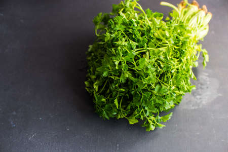 Fresh parsey herb on dark background with copyspaceの写真素材