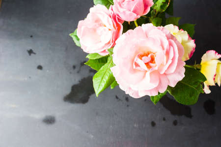 Summer frame with roses on dark wooden backgroundの写真素材