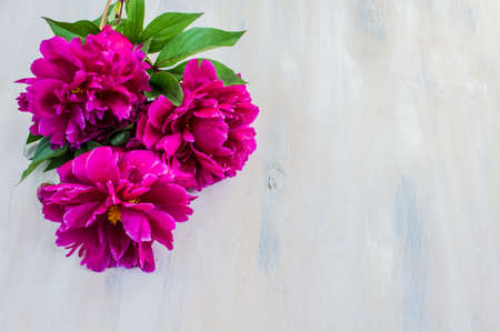 Bright purple peony flowers on rustic wooden table with copyspaceの写真素材
