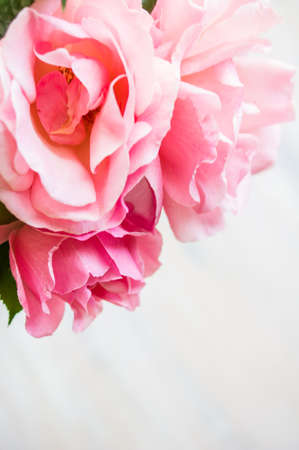 Summer frame with roses on dark wooden backgroundの写真素材