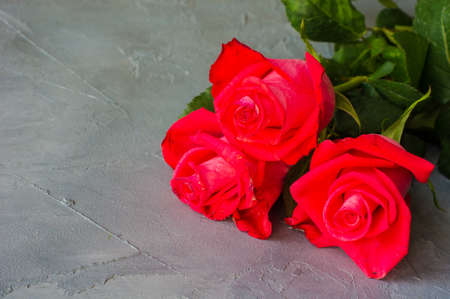 Festive cocept with red roses  as a present for beloved peoples
