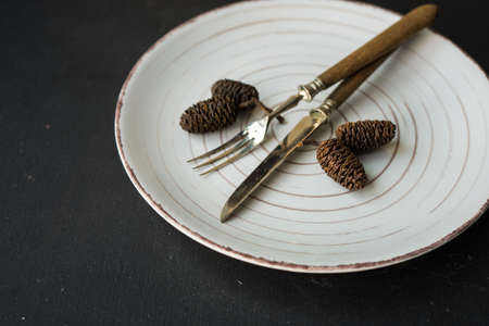 Autumnal table setting with acorns and rustic plates on dark wooden tableの写真素材