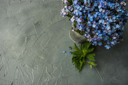 Summer floral concept with bright blue forget-me-not flowersの写真素材