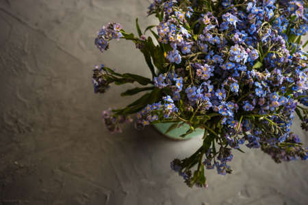 Summer floral concept with bright blue forget-me-not flowersの写真素材