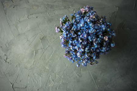 Summer floral concept with bright blue forget-me-not flowersの写真素材