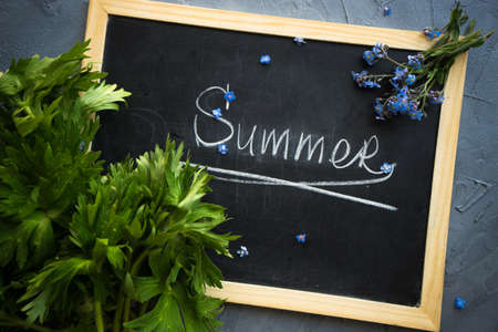 Summer floral concept with bright blue forget-me-not flowersの写真素材