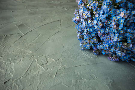 Summer floral concept with bright blue forget-me-not flowersの写真素材