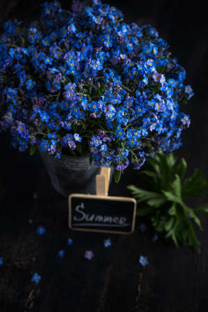 Summer floral concept with bright blue forget-me-not flowersの写真素材