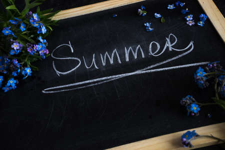 Summer floral concept with bright blue forget-me-not flowersの写真素材