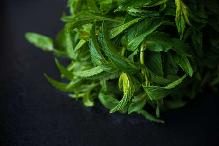 Fresh mint with water drops on dark chalkboard with copyspace
