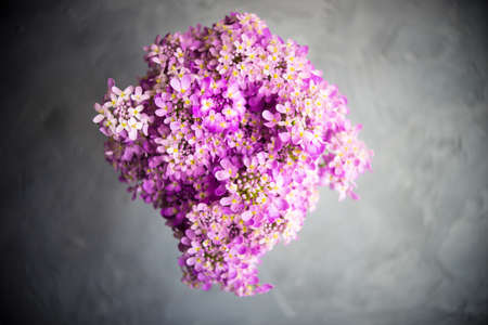 Summertime floral table setting with bright purple flowers with copysaceの写真素材