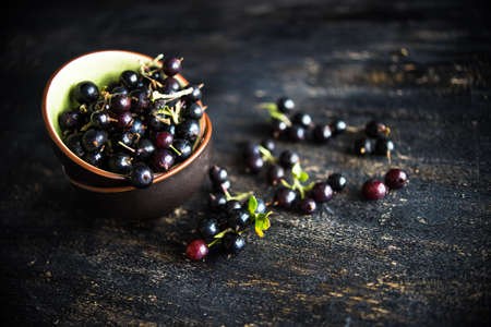 Ripe organic currant berries  on dark wooden table with copyspace as a organic food conceptの写真素材
