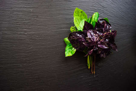 Fresh organic basil herb on dark wooden table with copyspaceの写真素材