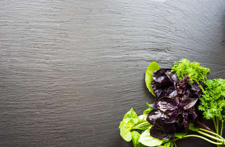 Fresh organic basil herb on dark wooden table with copyspaceの写真素材