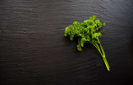 Fresh organic parsley hern on dark wooden background