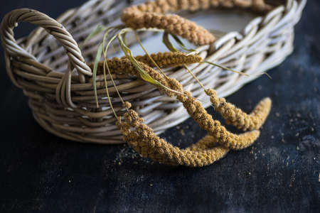 Baking background with wheat spica,  flour, wheat seeds, oil on dark boardの写真素材