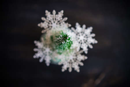 Christmas concept with top view of christmas tree on dark wooden background with copyspaceの写真素材