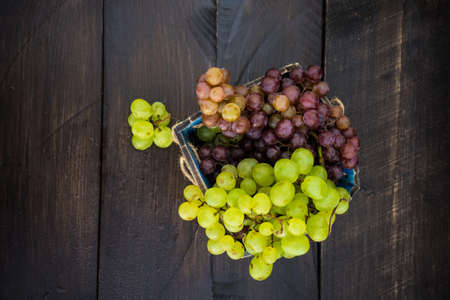 Fresh organic autumnal grapes on rustic plates on old wooden table with copyspaceの写真素材