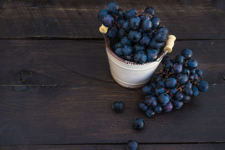 Fresh organic autumnal grapes on rustic plates on old wooden table with copyspaceの写真素材