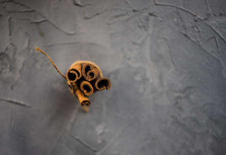 Cinnamon sticks on grey concrete background with copyspace