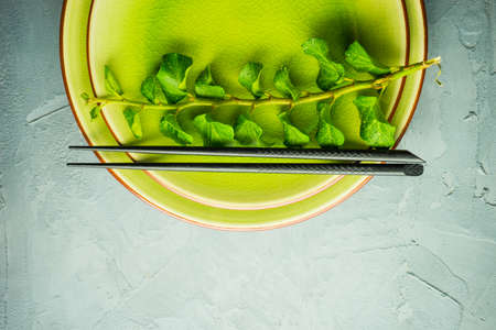 Rustic table setting with vintage ceramic plates, asian chopsticks and branch of ivy plant on dark old wooden table with copyspaceの写真素材