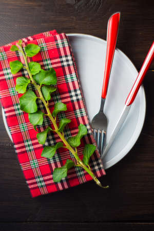 Rustic table setting with vintage ceramic plates and branch of ivy plant on dark old wooden table with copyspaceの写真素材
