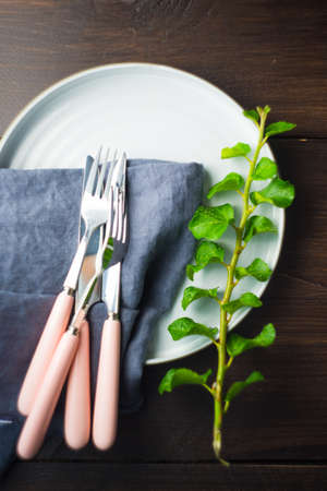 Rustic table setting with vintage ceramic plates and branch of ivy plant on dark old wooden table with copyspaceの写真素材