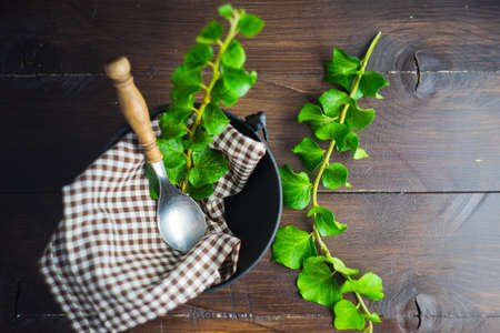 Rustic table setting with vintage ceramic plates and branch of ivy plant on dark old wooden table with copyspaceの写真素材
